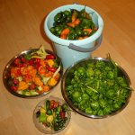 Letzte Chili Ernte, n, 18.10.2025, 18.17 Uhr.jpg