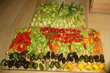 Chili-Ernte, 397 Chilis, f, 30.09.2025, 20.41 Uhr.jpg