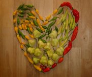 Chili-Ernte, a, 23.08.2025, 15.28 Uhr.jpg