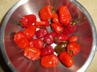 20 Cabe Gondol, 23.10.2025, 12.09 Uhr.jpg