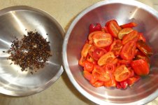 Entkernte Cabe Gondol, 23.10.2025, 13.44 Uhr.jpg