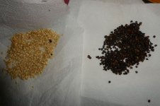 Saatgut, Zébrange + Cabe Gondol, 23.10.2025, 16.48 Uhr.jpg