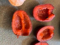 Kreuzung Brwon x oliv.jpg Kreuzung Brwon x oliv.jpg