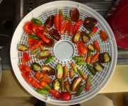 Letzte Dörrung Chilis, 11.11.2025, 10.16 Uhr.jpg