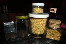 Gemisches Chili-Saatgut, 12.11.2025, 07.36 Uhr.jpg