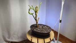 20251009_171352.jpg 20251009_171352.jpg