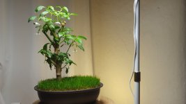 20251112_171742.jpg 20251112_171742.jpg