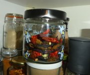 Fertig gedörrte Rocotos, 11.11.2025, 20.04 Uhr.jpg