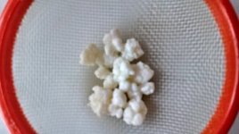 35941741oc.jpg 35941741oc.jpg