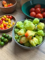 Mini Olives liegen neben den Schüsseln direkt auf dem Tisch