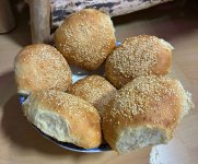 Selbstgemachte Sesam-Brötchen, c, 07.12.2025, 16.44 Uhr.jpg Selbstgemachte Sesam-Brötchen, c, 07.12.2025, 16.44 Uhr.jpg