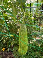 1000048037.jpg 1000048037.jpg