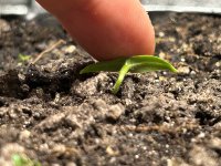 IMG_2711.jpeg IMG_2711.jpeg