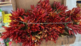 Chilis vom Wochenmarkt, 20.12.2015, 10.23.jpg