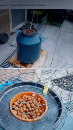 IMG_20260106_130200.jpg IMG_20260106_130200.jpg