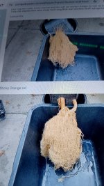 IMG_20260106_130432.jpg IMG_20260106_130432.jpg