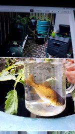 IMG_20260106_130650.jpg IMG_20260106_130650.jpg