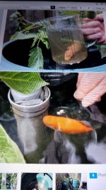 IMG_20260106_130705.jpg IMG_20260106_130705.jpg