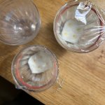 28. Dezember in Keimbecher auf Zellstoff