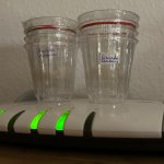 Bei 25-28 °C auf feuchtem Zellstoff zum Keimen