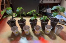 Umtopfaktion, 21.01.2026, 22.18 Uhr.jpg