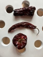 Unbestimmte Chilis, 06.02.2026, 15.01 Uhr.jpg