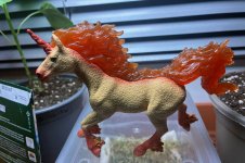 Feuerpferd zum asiatischen Neujahrsfest, 17.02.2026.jpg Feuerpferd zum asiatischen Neujahrsfest, 17.02.2026.jpg