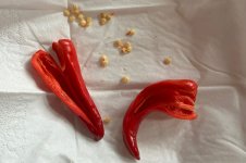 Manganji Togarashi Red, 21 Samen, 19.02.2026, 14.25 Uhr.jpg