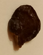 1771707038300.png 1771707038300.png