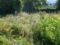 35 Tage ohne Regen, a, 14.06.2023, 08.33 Uhr.jpg