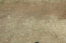 35 Tage ohne Regen, c, 14.06.2023, 09.45 Uhr.jpg 35 Tage ohne Regen, c, 14.06.2023, 09.45 Uhr.jpg