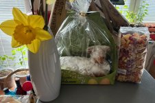 Osterlamm + Osternudeln, a, 06.03.2026, 09.41 Uhr.jpg