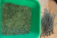 Rosmarinnadeln von den Zweigen entfernt, 14.03.2026, Uhr.jpg