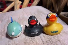 Quietscheentchen + Walfisch, 21.03.2026, 19.47 Uhr.jpg Quietscheentchen + Walfisch, 21.03.2026, 19.47 Uhr.jpg