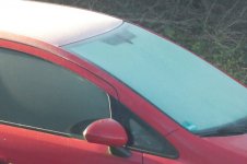 Frost, 27.03.2026, 07.46 Uhr.jpg