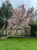 IMG_5268.jpeg IMG_5268.jpeg