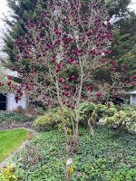 IMG_5269.jpeg IMG_5269.jpeg