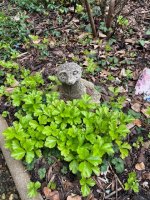 IMG_5270.jpeg IMG_5270.jpeg