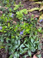 IMG_5271.jpeg IMG_5271.jpeg