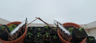 IMG_20260427_203719.jpg