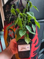 IMG_20260510_201016900.jpg