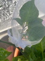 IMG_1546.jpeg IMG_1546.jpeg