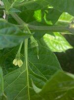 IMG_1571.jpeg