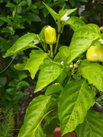 IMG_20260623_160840060.webp