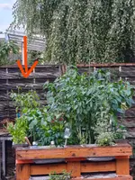 IMG_20260716_062452889 (1).webp