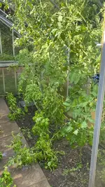 20260725 (1).webp
