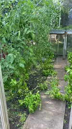 20260725 (2).webp