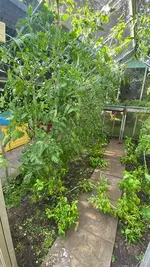 20260725 (3).webp