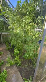 20260725 (4).webp