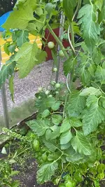 20260725 (5).webp